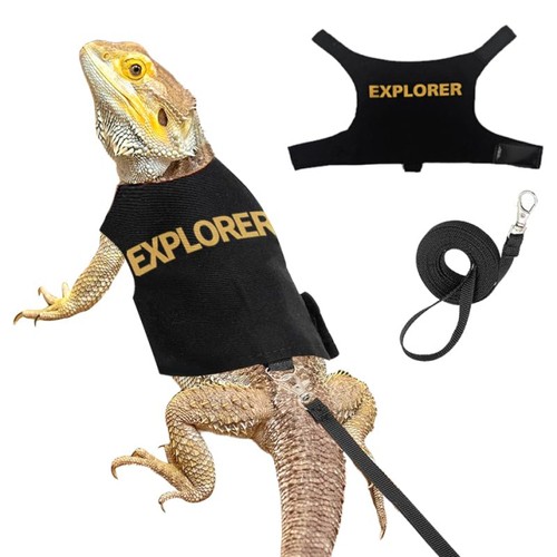 Bearded dragon harness and - bearded,