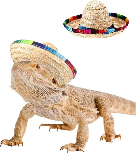 Mini sombrero hats for - hats, bearded