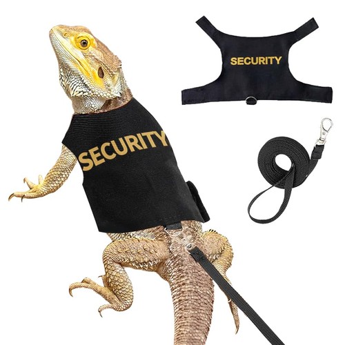 Bearded dragon harness and - dragon,