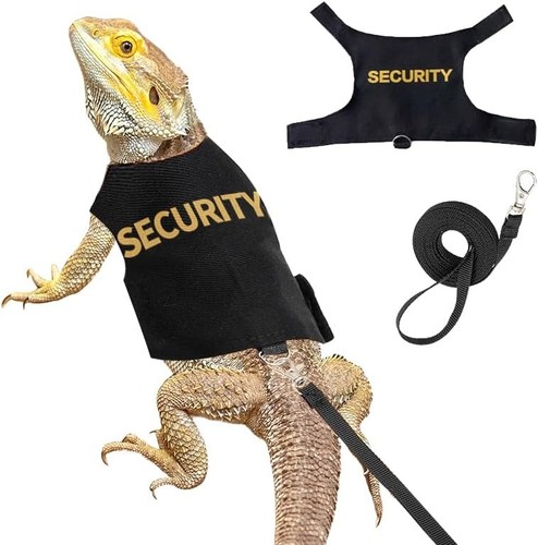 Bearded dragon harness and - dragon,