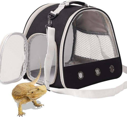 Bearded dragon travel - bearded,